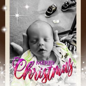 Meet your Posher, Sandy